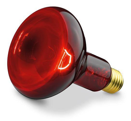 Beurer Infrared Bulb Replacement for Beurer IL 11 Infrared Lamp ONLY| 100 Watt
