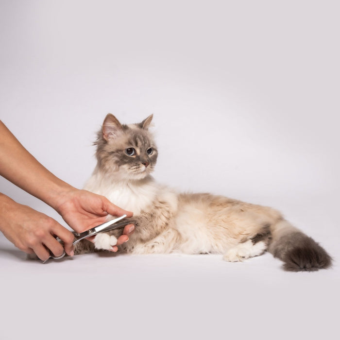 Beurer Fur Trimmer & Clipper for Dogs & Cats | Rechargeable Grooming Kit for Pets | “Fluffy”