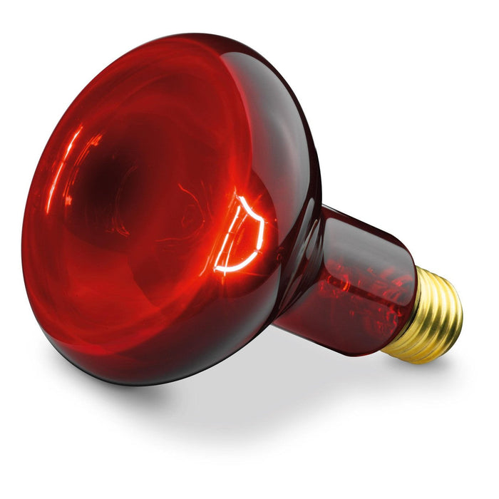 Beurer Infrared Bulb Replacement for Beurer IL 11 Infrared Lamp ONLY | 100 Watt