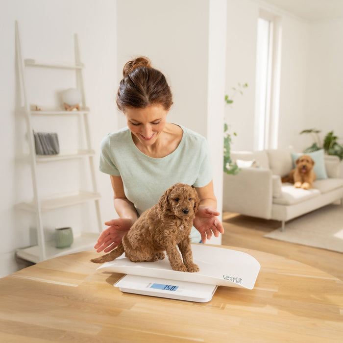 Beurer “Polly” Pet Scale | Multifunctional Digital Weighing Scale for Pets & Humans