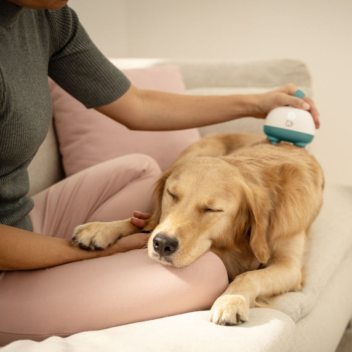 Beurer Massager for Dogs & Cats | Gentle Kneading Massage for Pets | Rechargeable | “Buddy”