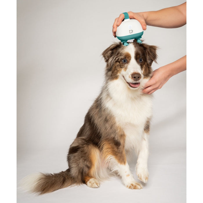 Beurer Massager for Dogs & Cats | Gentle Kneading Massage for Pets | Rechargeable | “Buddy”